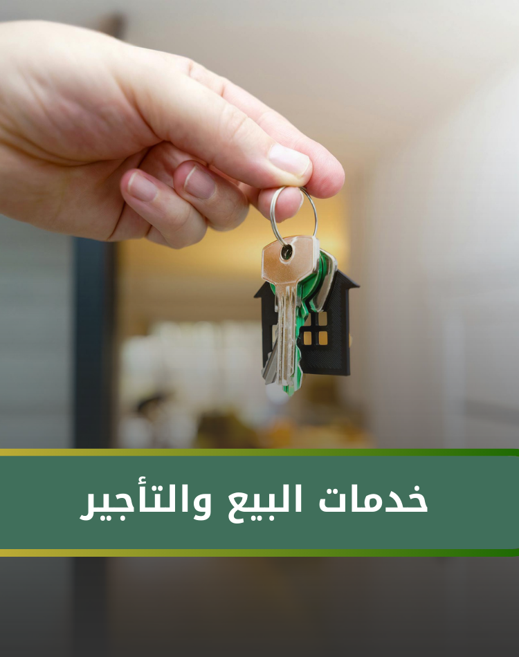 تصميم موقع الكتروني في السعودية , منصة نورالدين