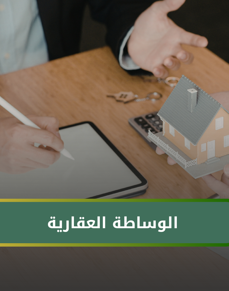 تصميم موقع الكتروني في السعودية , منصة نورالدين