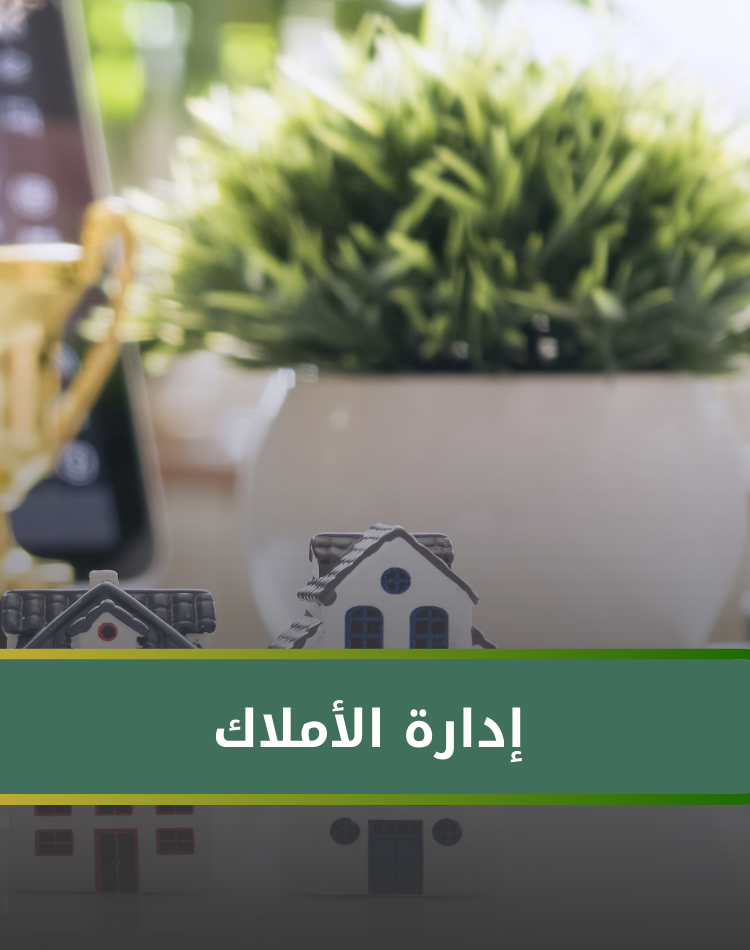 تصميم موقع الكتروني في السعودية , منصة نورالدين